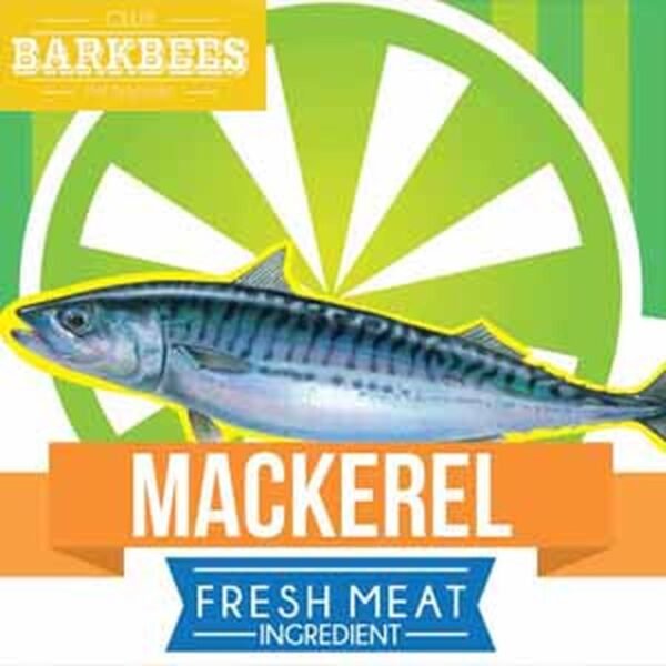 mackerel 500gr raw food pureeraw
