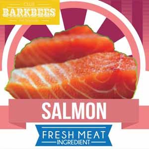 addict by nature salmon 500gr raw food pureeraw