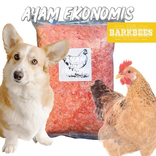 ayam giling ekonomis chicken raw food porsi harian