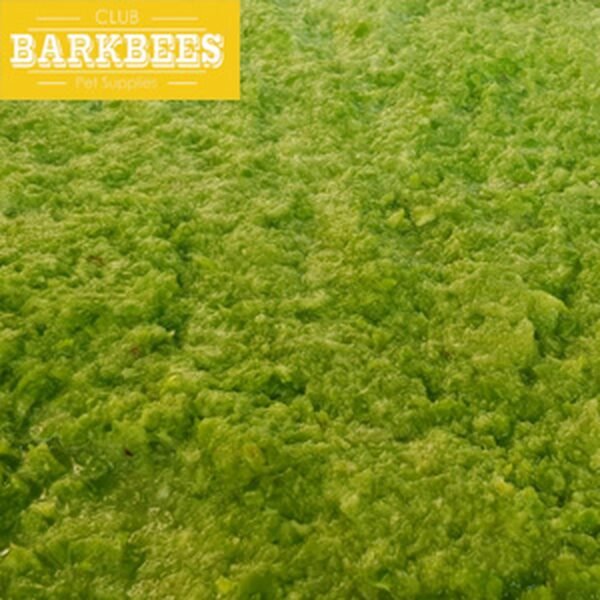 spinach bayam raw food pureeveg (copy) spinach bayam raw food pureeveg (copy)